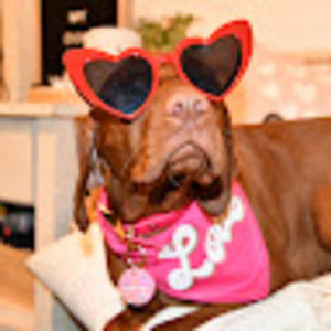 Meet your Posher, Leah